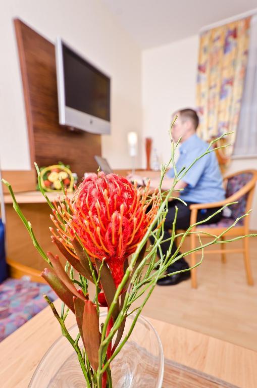 Serviced Apartments Kurpfalzhof 오프터스하임 객실 사진