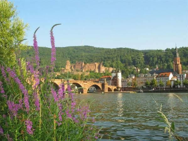 Serviced Apartments Kurpfalzhof 오프터스하임 외부 사진